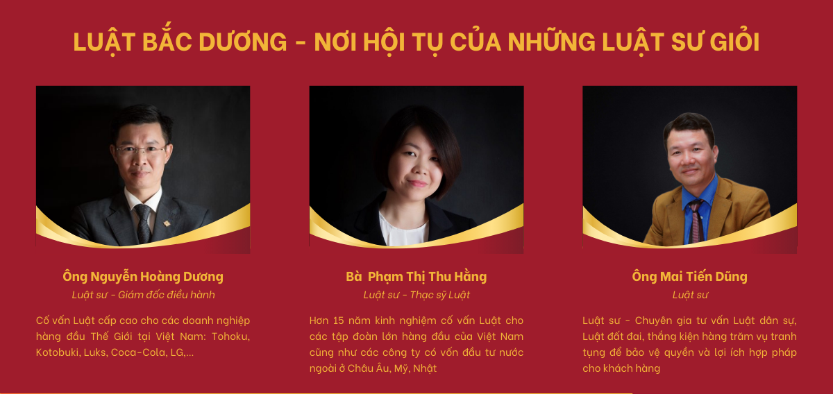 Đội ngũ chuyên gia, luật sư giỏi tại Luật Bắc Dương