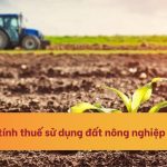 Cách tính thuế sử dụng đất nông nghiệp
